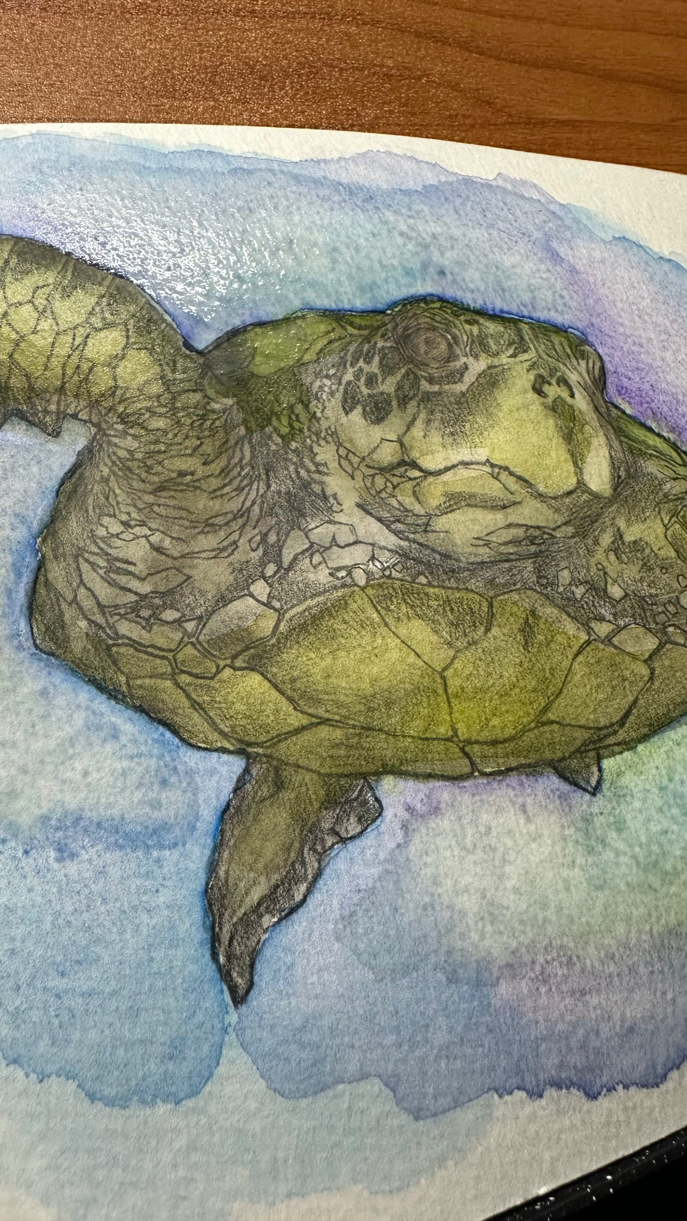 Pack of 12 Assorted Color Pencil Brush